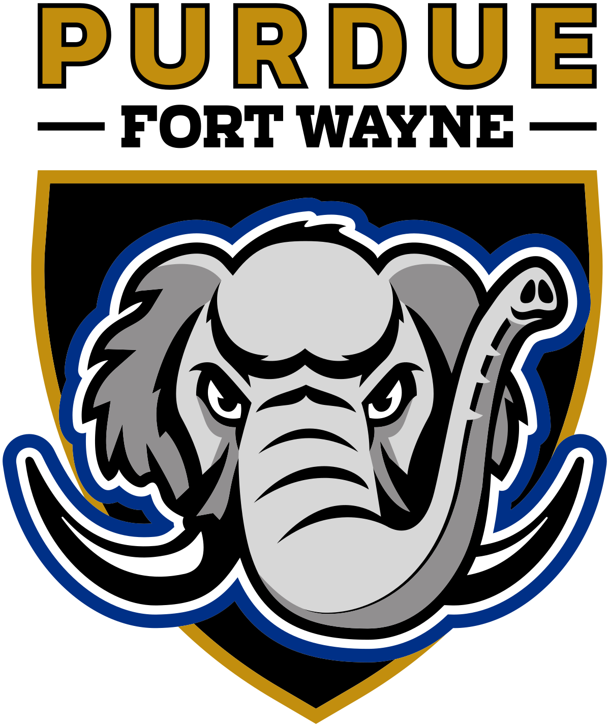 Universitas Purdue Fort Wayne